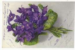 453 - Bouquet De Violettes - Fleurs