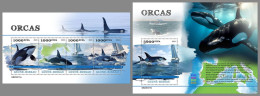 GUINEA-BISSAU 2023 MNH Orcas Schwertwale M/S+S/S – OFFICIAL ISSUE – DHQ2422 - Whales