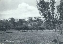 Cc754 Cartolina Maltignano Panorama Provincia Di Ascoli Piceno Marche - Ascoli Piceno