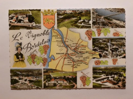 VIGNE / VIN - VIGNOBLE BORDELAIS - Viticulture Raisin - Blason / Carte - Bordeaux - St Estephe - St Trelody - Podensac - Weinberge