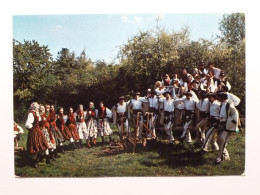 FOLKLORE - Ensemble Folklorique Polonais WARSZAWA / Costume Traditionnel Pologne - ZESPOL PIESNI I TANCA WARSZAWA - Costumes
