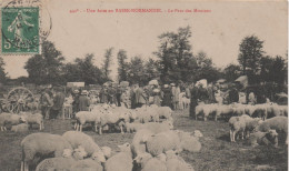 50  Une Foire En Basse Normandie   Le Parc Des Moutons - Other & Unclassified
