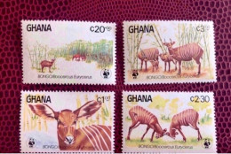 GHANA 1984 WWF 4 V Neuf ** MNH Mi 1060 A 1063 Antelope Antilope Mammifère Mammal Mamífero Saügetier - Nuovi