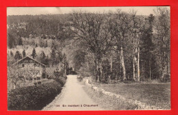 VBB-08 Chaumont Sur Neuchâtel  En Montant à Chaumont.  Jacot 386  Non Circulé - Other & Unclassified