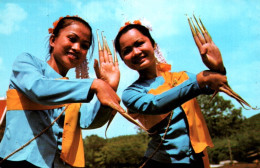 CPM - THAÏLANDE - Les Plus Belles Jeunes Filles Thaïlandaises De Chiengmai - Edition Phorn Thip - Thaïland