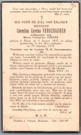 Bidprentje Ranst - Verschaeren Cornelius Carolus (1857-1935) - Andachtsbilder