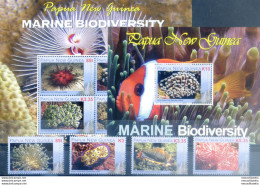 Biodiversità Marina 2008. - Papua New Guinea