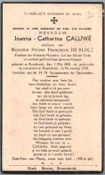 Bidprentje Ruisbroek - Caluwé Joanna Catharina (1850-1938) - Devotieprenten