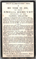 Bidprentje Ruiselede - Demuydt Emelia (1864-1924) - Devotion Images