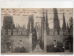 1905  CARTOLINA  VERONA  - GIARDINI GIUSTI - Cuneo