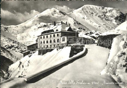 71944501 Stelvio Passo Dello Stelvio Novcata Estiva Stelvio - Altri & Non Classificati