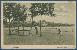 Prenzlau Seepartie Und Stadt, Gelaufen 1917 Als Feldpost (AK2564) - Prenzlau