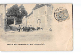 SALIES DE BEARN - Chevrier Et Entrée Du Château De Salies - état - Salies De Bearn