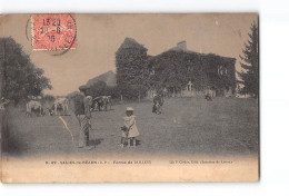 SALIES DE BEARN - Ferme De BAILLENX - état - Salies De Bearn