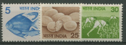 Indien 1979 Landwirtschaft Fisch Geflügel Reis 792/94 Postfrisch - Unused Stamps