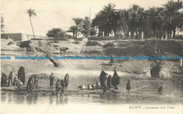 R659692 Egypt. Landscape Near Cairo. L. C - World