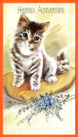 CP Anniversaire Chat Fleurs Illustrateur N° 2  Carte Vierge TBE - Chats