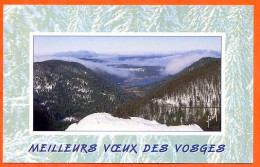 88 Carte Meilleurs Voeux Des Vosges  2 Carte Vierge TBE - Sonstige & Ohne Zuordnung