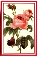 CP Fleurs Roses Avec Un Papillon Carte Vierge TBE - Blumen