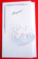 Carte Avis De Naissance Faire Part Bébé Bonjour ! Peluches Carte Vierge TBE - Geburt