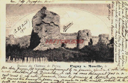 CPA PAGNY SUR MOSELLE - MEURTHE ET MOSELLE - LE CHATEAU DE PRENY - Other & Unclassified