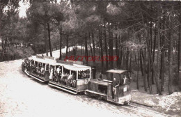 CPSM CAP FERRET - GIRONDE - LE PETIT TRAIN FORESTIER - Other & Unclassified