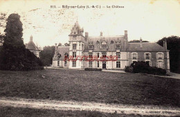 CPA RILLY SUR LOIRE - LOIR ET CHER - LE CHATEAU - Autres & Non Classés