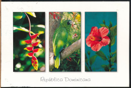 °°° 31137 - REPUBBLICA DOMINICANA - VIEWS - With Stamps °°° - Dominikanische Rep.