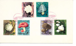 CHAMPIGNONS / CHINE 1981 /FDC  N° 2449 à 2454 / 6T Sur 1 Seul Document/complet / RARE +++ - Champignons