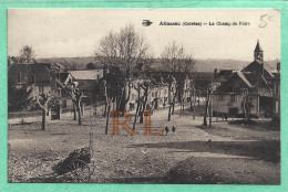 19 - Corrèze - ALLASSAC - Hirondelle - Le Champ De Foire - D581 - Autres & Non Classés