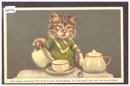 CHAT HUMANISE  - TB - Dressed Animals