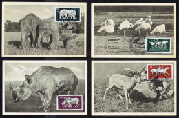 Y/T N° 276/281 - Par Zoologique De Berlin - 6 Cartes Maximum - Ersttagkaart 14/12/1956. - Maximum Cards