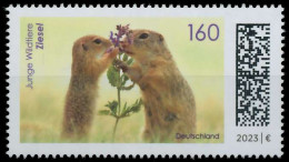 BRD BUND 2023 Nr 3782 Postfrisch S301F66 - Unused Stamps