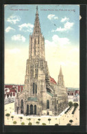 AK Ulm /Donau, Blick Zum Münster - Höchste Kirche Der Welt  - Ulm