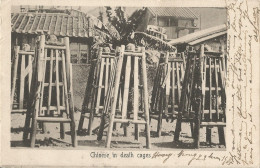 CHINA - CHINESE IN DEATH CAGES -1905 - Cina