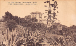 83 - Environs De TOULON - SAN SALVADOUR - Aloès En Fleurs - Toulon