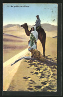 AK Männer Mit Kamel Beim Gebet In Der Wüste  - Autres & Non Classés
