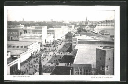 AK Düsseldorf, Ausstellung Gesolei, Blick In Die Hauptstrasse  - Expositions