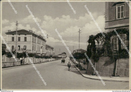 Ae735 Cartolina Spoleto Viale Trento E Trieste Provincia Di Perugia - Perugia