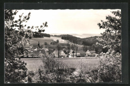 AK Cottenau B. Wirsberg, Panorama  - Sonstige & Ohne Zuordnung