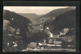 AK Alpirsbach / Schwarzwald, Panorama  - Alpirsbach