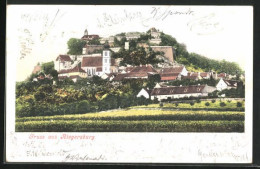 AK Riegersburg, Teilansicht Mit Burgberg  - Andere & Zonder Classificatie