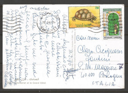 Tunisia 1990 15.29, Hammamet, Turtle Stamp, Postcard To Bologna Italy - Tunisie (1956-...)