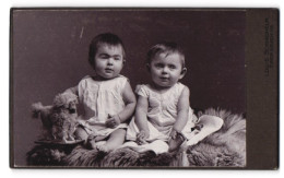Fotografie Louis Schindhelm, Ebersbach I. S., Zwei Vergnügte Kleinkinder Mit Spielzeugtier Auf Einem Fell  - Anonyme Personen