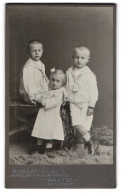 Fotografie Robert Kubitz, Bautzen, Post-Platz 2, Zwei Jungen In Matrosenanzügen Und Kleines Mädchen Im Kleid  - Anonieme Personen