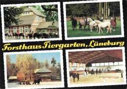 73979397 LueNEBURG Forsthaus Tiergarten Ponyreiten Pferdeschlitten Koppel Reitha - Lüneburg