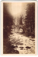 Photo Ad. BRaun & Cie., Dornach,  Vue De Gerardmer, Pont Des Fees, Alte Steinbrücke Im Wald  - Places