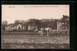 AK Bayreuth, Villen An Der Nibelungen-Strasse Mit Blick Zur Hohen Warte  - Bayreuth