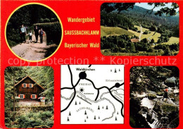 73834460 Waldkirchen Niederbayern Wandergebiet Saussbachklamm Panorama Teilansic - Other & Unclassified