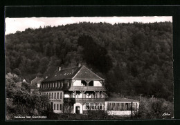 AK Schönau Bei Gemünden, Gaststätte Zum Alten Forsthaus  - Chasse